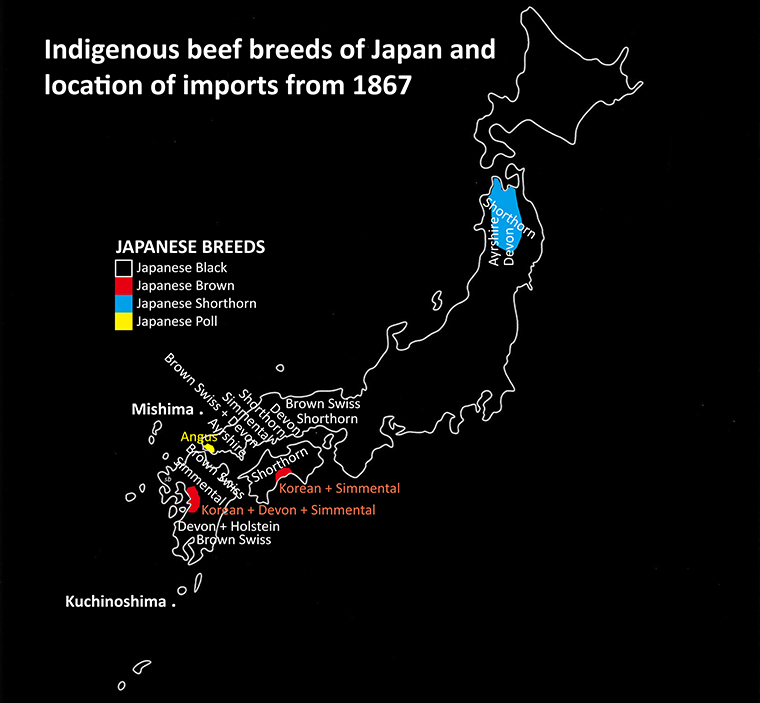 Map of Japan showing origin of native cattle breeds and where imported breeds were used from 1878 to 1910